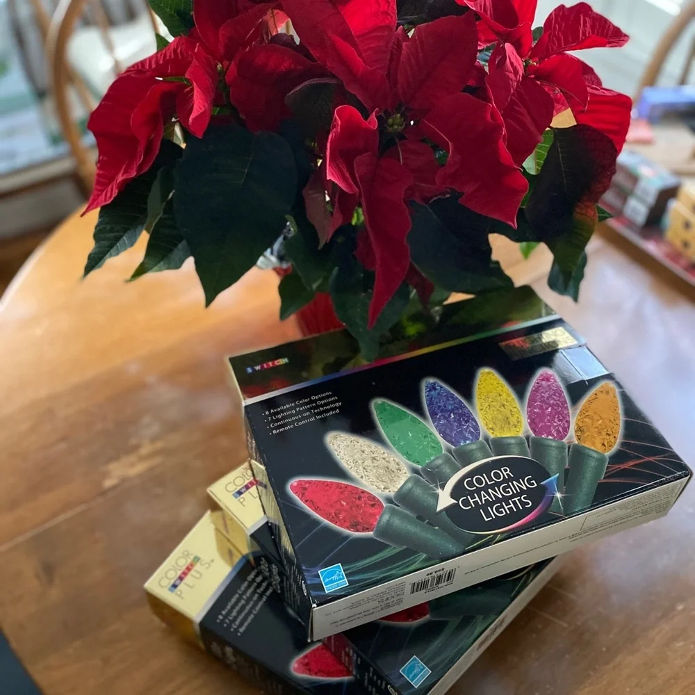 New in Box Christmas Lights